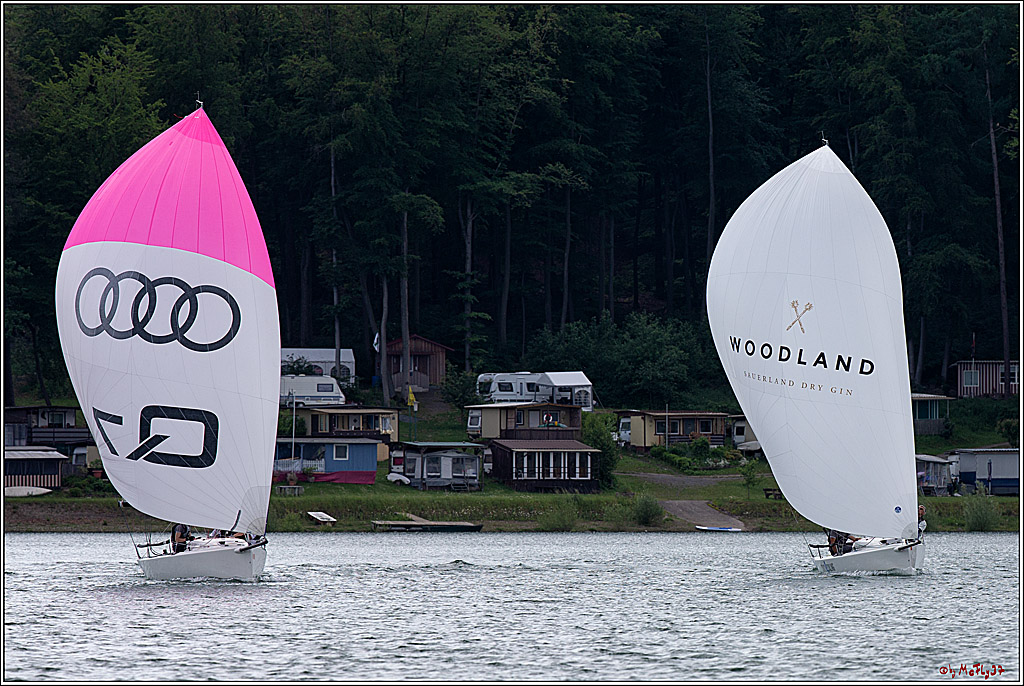 J70 - WOODLAND, 12.06.2021 Segelboot; Segeln; Woodland; Spinnaker; J70; Sorpesee; Sauerland